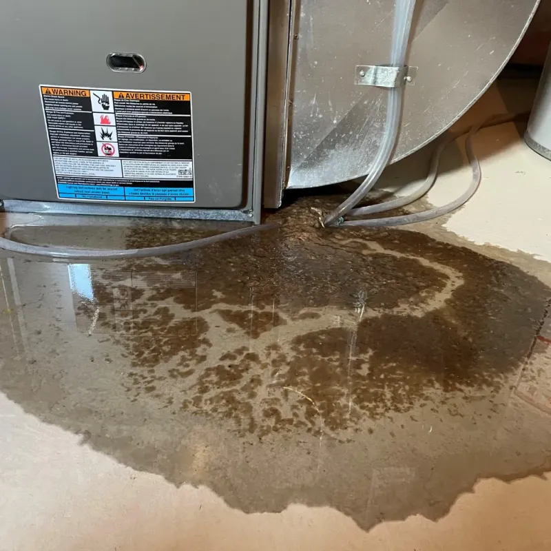 Appliance Leak Cleanup in Klickitat County, WA